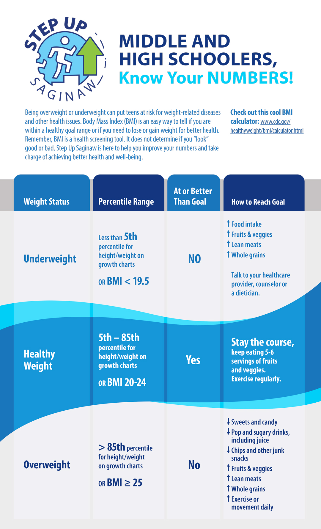 Middle and High Schoolers BMI Chart